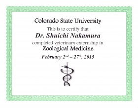 2015CSU certificate 001