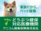 アニコム動物病院用画像